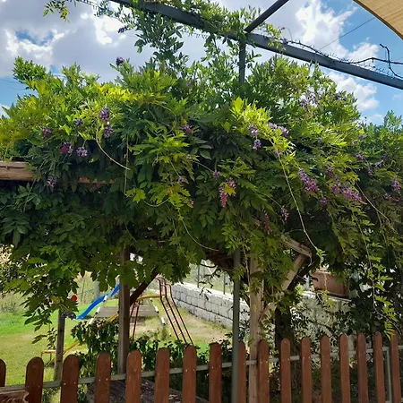 Séjour à la ferme La Stragola Nicosia